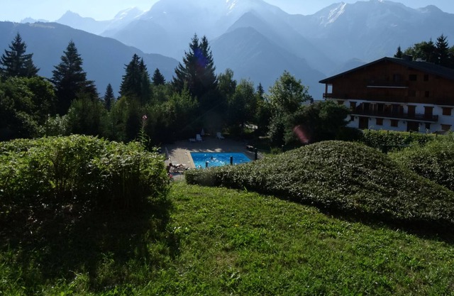 THE BETTEX 1450m Near the slopes 2 rooms 2/6 people, Lounge overlooking Mont Blanc