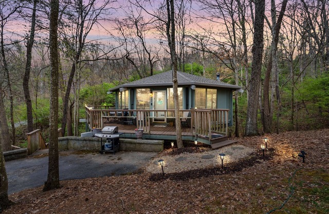 The Bristol Tree House 2 br/2ba
