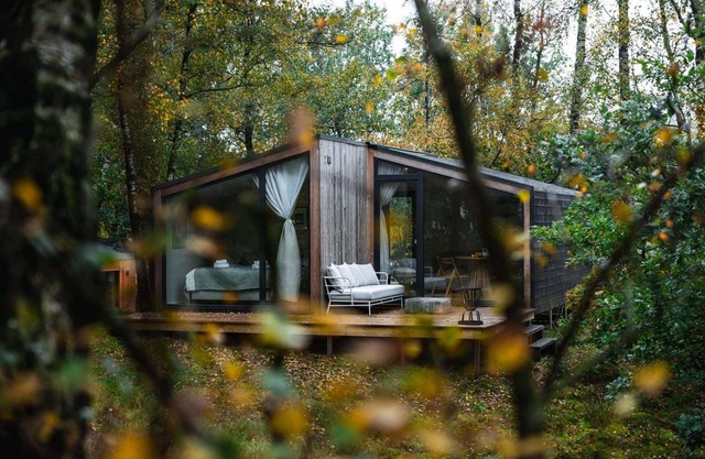 The Cabin on the Hill is situated among the birch trees on a hill with unobstructed views on all sides.