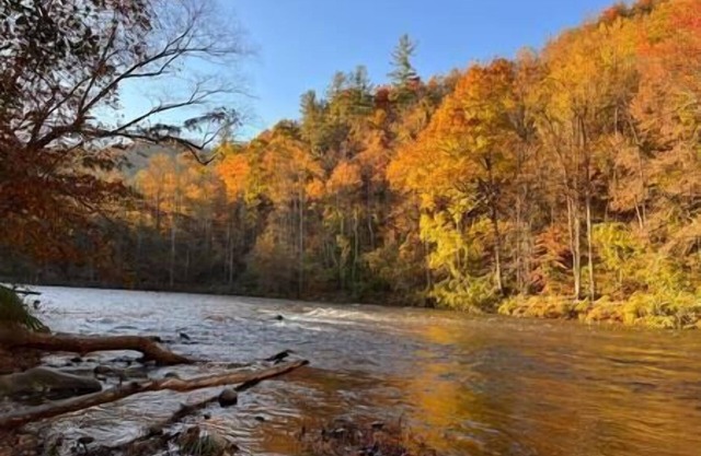 The Cataloochee Tiny Home on the Pigeon River
