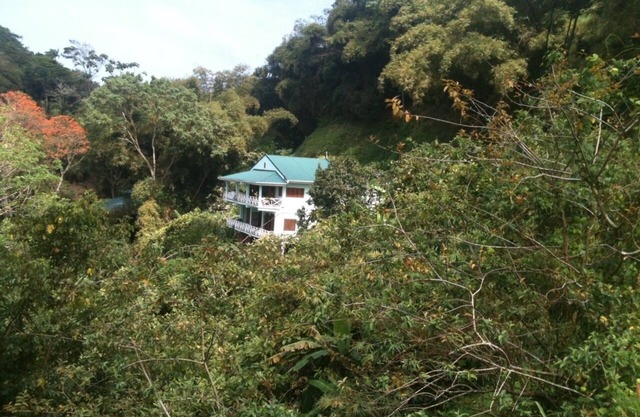 The Charlotteville Lookout - Oceanview Mountain Top Bird Watchers Paradise