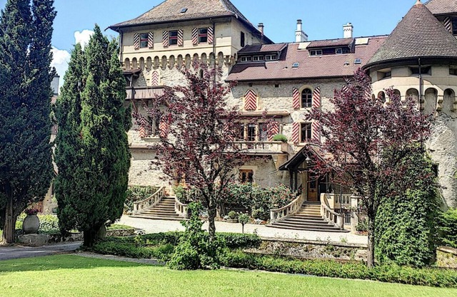 The charm of a castle by the lake