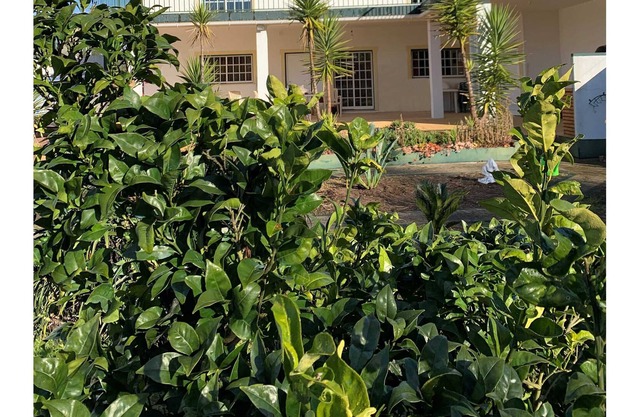 The Domaine de L'Orangeraie