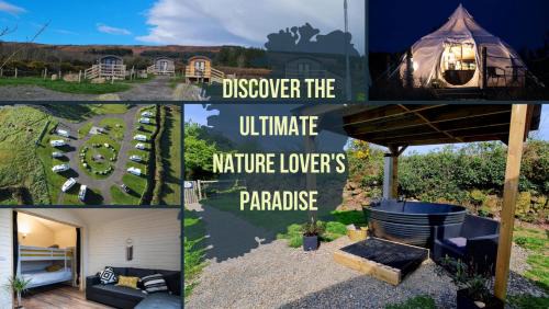 The Getaway - The Peregrine - Luxury Pet Friendly Glamping Cabin