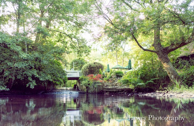The Old Mill