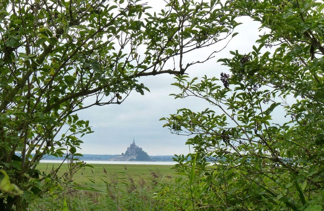 The paths: between Saint Malo and Mont Saint Michel at the Vaugarny Manor