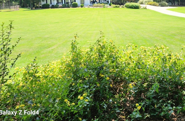 The Potter's Home House on Five Acres close to Trilith studios, Senoia and PTC