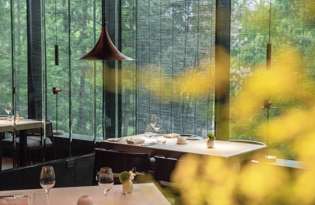 The Puli Hotel And Spa