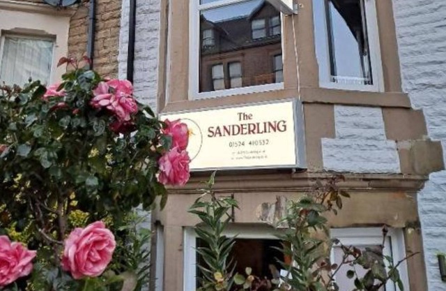 The Sanderling
