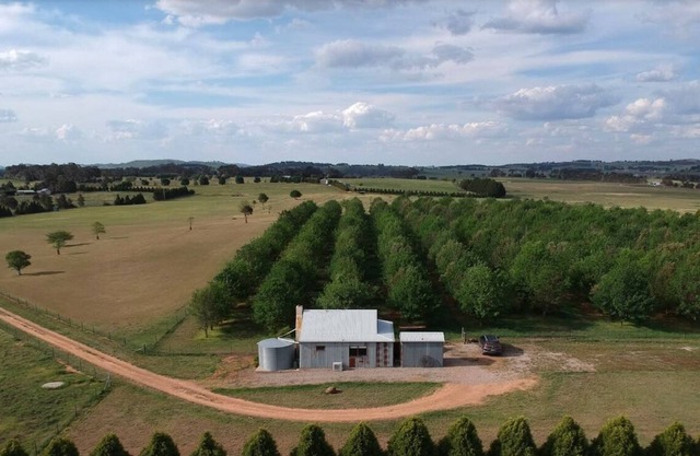The Shack - Gorgeous Getaway for 2 on Truffle Farm