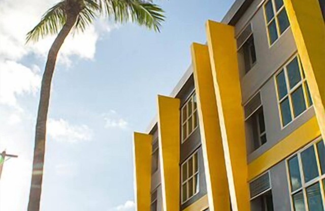 The Sunflower Holiday Hostel