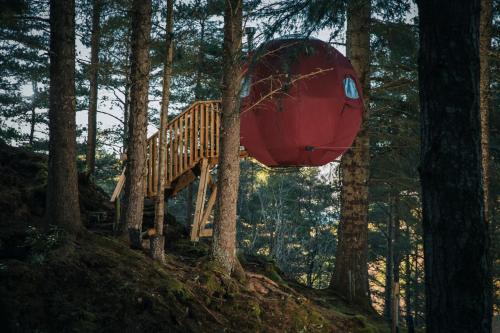 the tree tent highland hangout