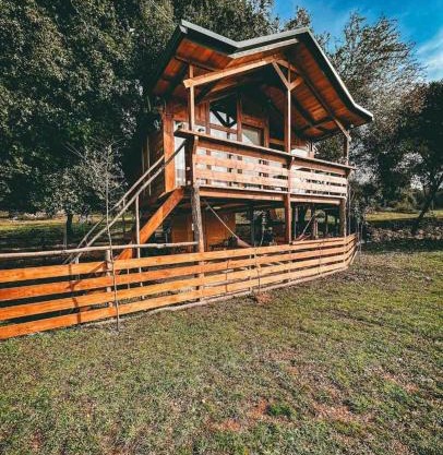 The Treehouse of The Dragon