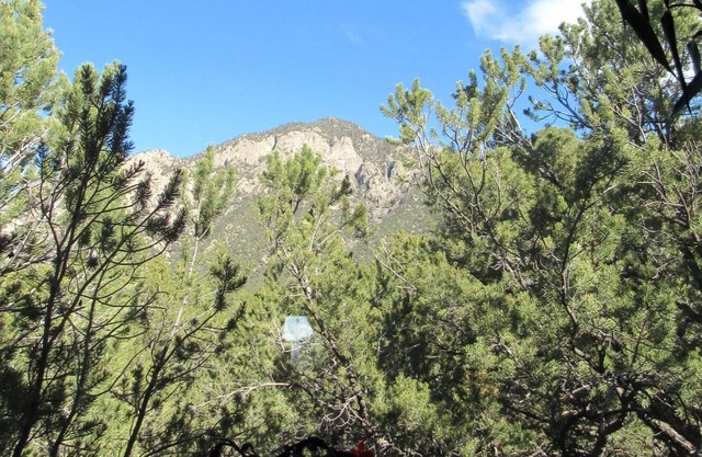 The Treehouse - See the trees and mountains instead of your neighbors!