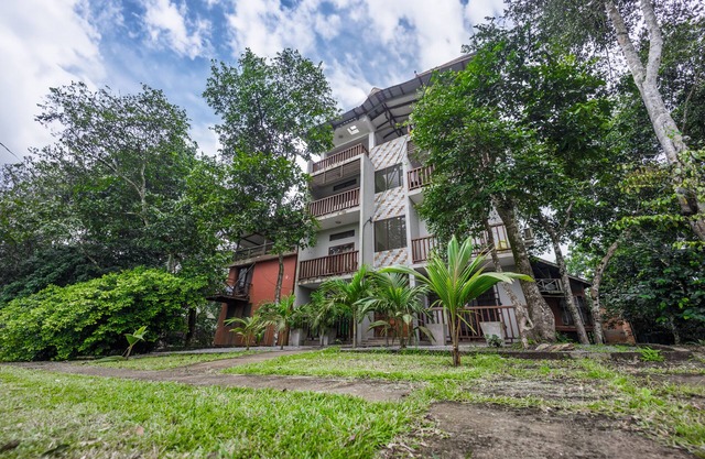 The Treehouse Studio apartments with a large rooftop terrace.