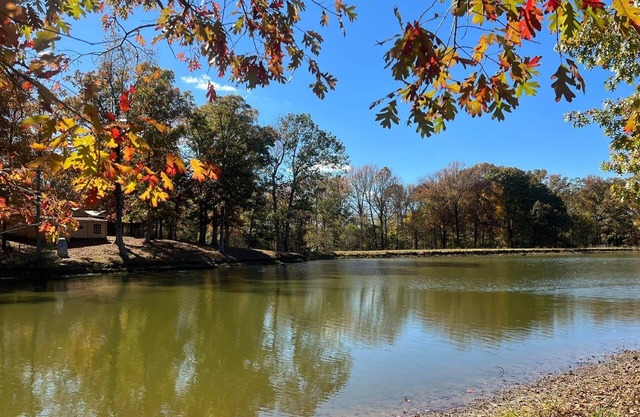 TinyLakeEscape,Hot Tub near Memphis in Fayette County