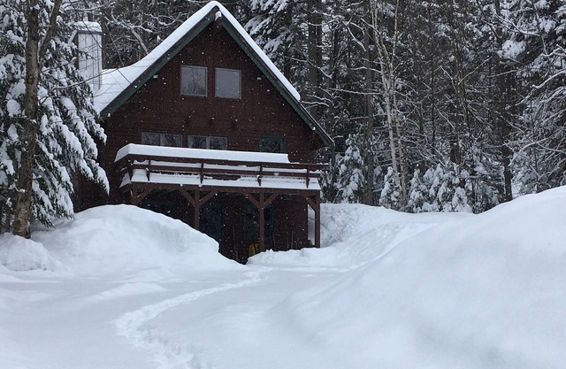 Tmakwa - You will love this little cabin - and it's sandy beach in the summer