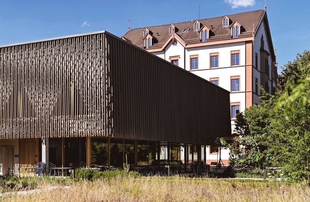 TOP HOTEL ODELYA Basel