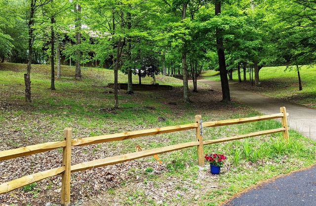 TRANQUIL WILDWOOD HIDEAWAY SECLUDED HOLLOW, 10 MILES FROM EVERYTHING! SLEEPS 4.