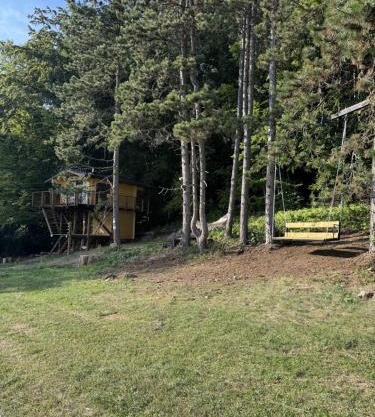 Treetop Tiny House Pod Korunami