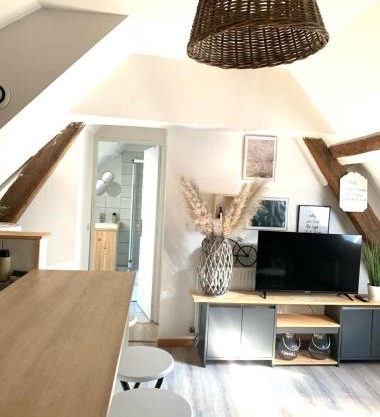 Tres Agréable logement a Vierzon