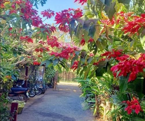 Tribal Village Homestay & Trekking