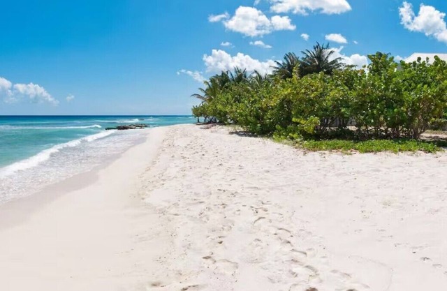 TROPICAL PARADISE ON THE BEACH
