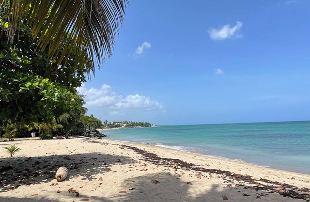 Tropical Resort , 5 Pools & Direct Beach Access