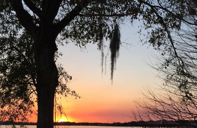 True Whimsical Lakefront Getaway; Loved By Returning Snowbirds!