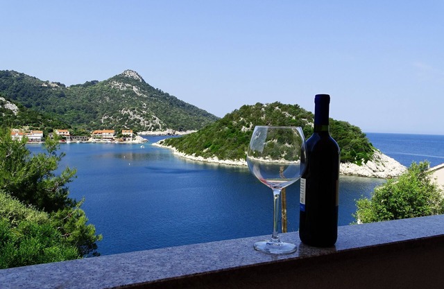 Two bedroom apartment with balcony and sea view Zaklopatica, Lastovo (A-12452-a)