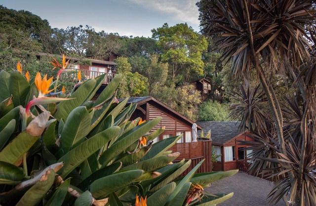 Under Milkwood Resort