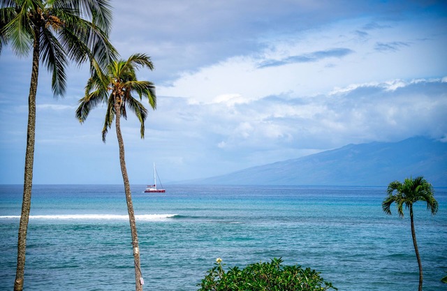 Unit #205 Studio Ocean View at Royal Kahana Maui