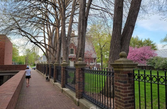 Upscale Downtown Studio w/Private Deck, Full Kitchen, No Stairs