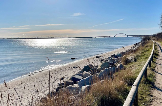Vacation apartment/apartment for 4 guests with 73m² in Fehmarn OT Wulfen (12885)