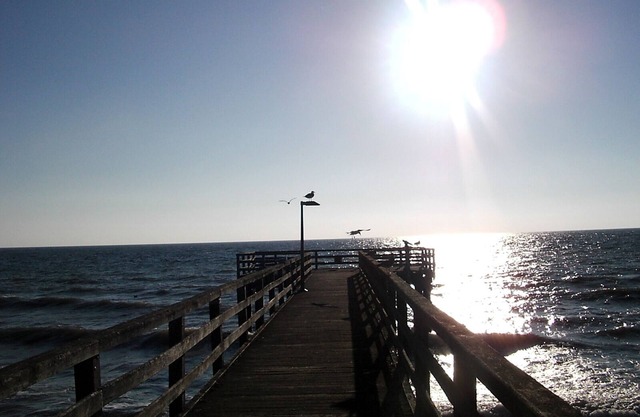 Vacation apartment for 4 people in Süssau on the Baltic Sea