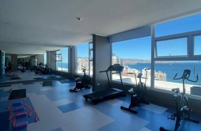 Viña del Mar