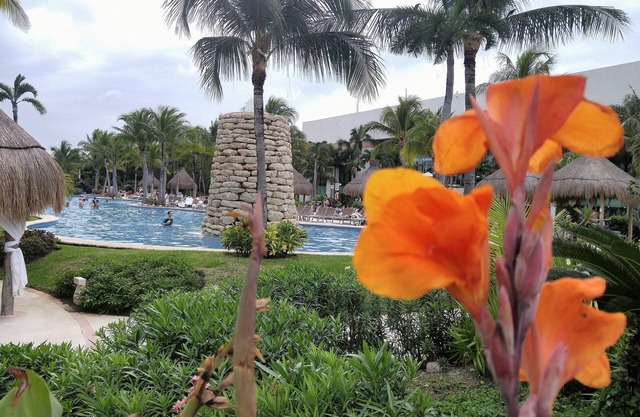 Vidanta Grand Mayan Golf Resort Studio