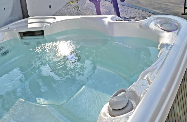 Villa-jacuzzi-1chb-jardin-10minsAixEnPce-QuartierChic