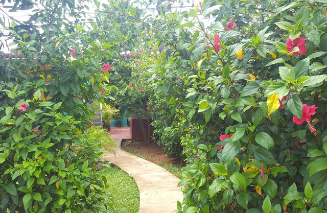 Villa Los Reyes