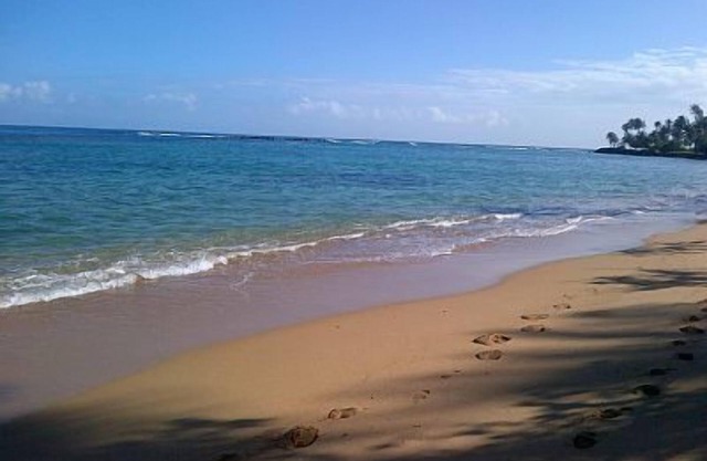 Villa tranquila On Dorado Reef