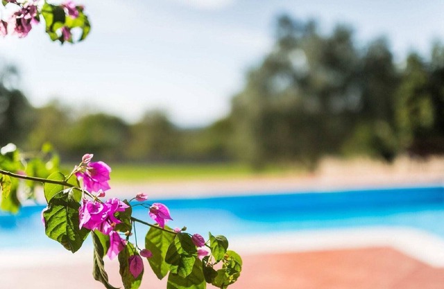 Villa with perfect sun deck overlooking the pool in the heart of Istria