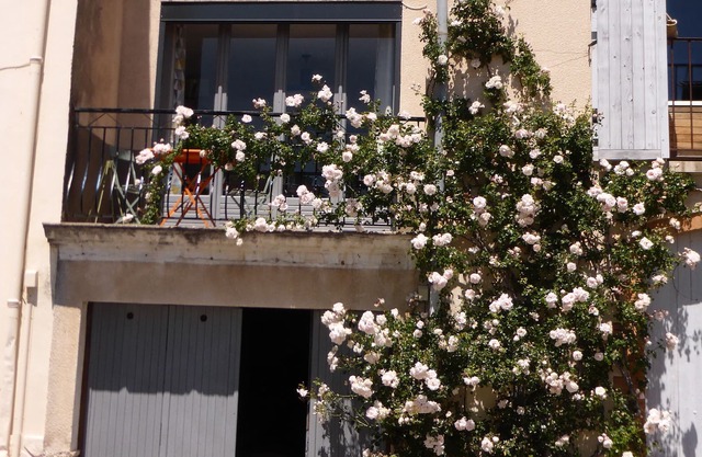 Village house
