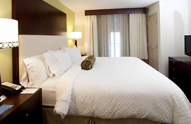 Vivid Suite for Your Next Getaway! Free