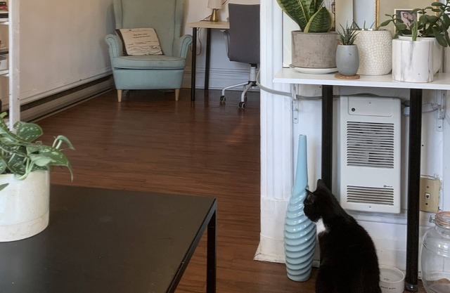 Vrbo Property