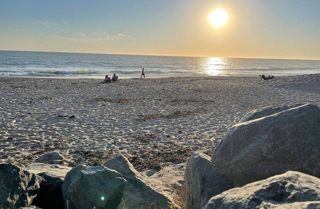 Walk to Beach - King Apt In 1 Area - AB