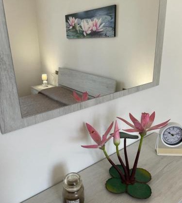 Water Lily Apartment