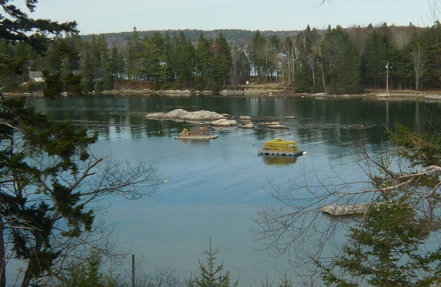 Waterfront Cottage With An Awesome View Of Capital And Burnt Island