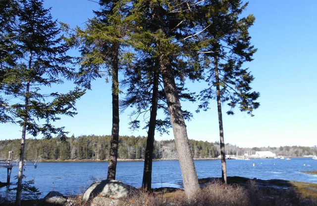 WATERFRONT Cottage in Tenants Harbor