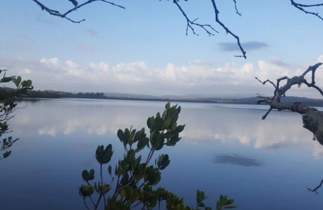 Waterfront Estuary Fishing Escape