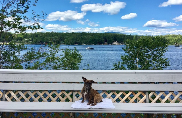 Waterfront House on Winnipesaukee w Private Dock , Sleeps 11 & Dogs Welcome!